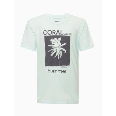 Camiseta Masculina Infantil Estampada Coral Castle Azul Clara Calvin Klein Jeans