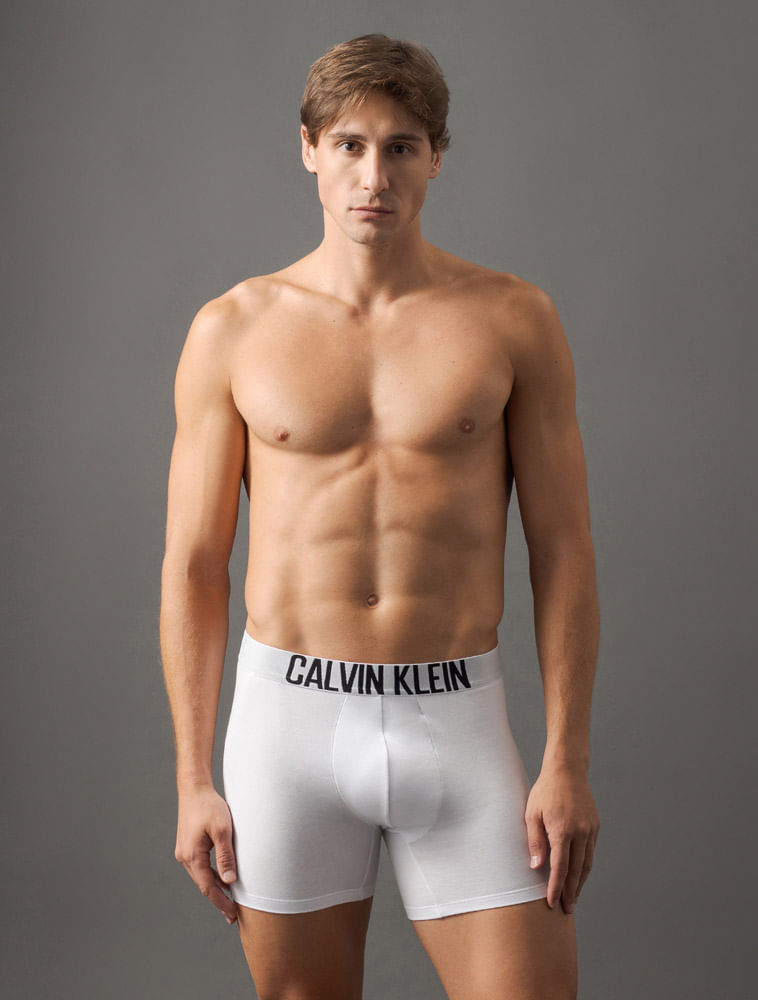 EM0033_09000900_1-KIT-2-BOXER-COTTON-INTENSE-POWER