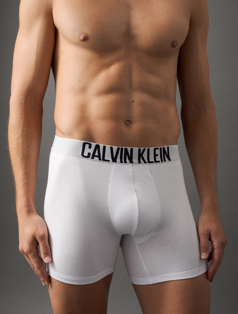 EM0033_09000900_4-KIT-2-BOXER-COTTON-INTENSE-POWER